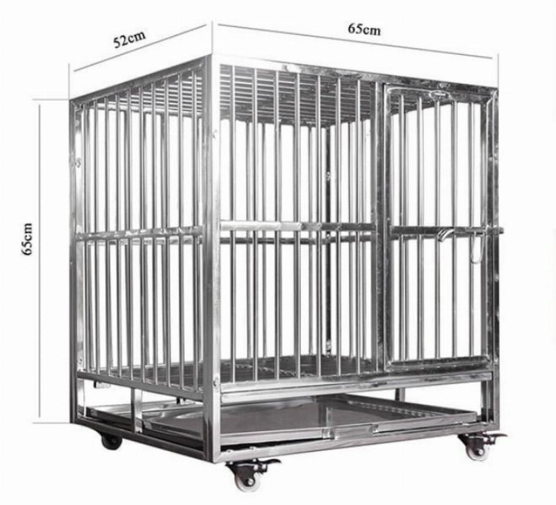Các kiểu chuồng chó sắt ngoài trời, bền chắc, thông thoáng, phù hợp với những chú chó hiếu động
